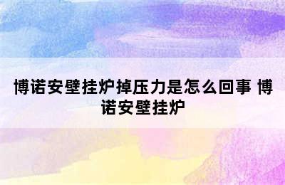 博诺安壁挂炉掉压力是怎么回事 博诺安壁挂炉